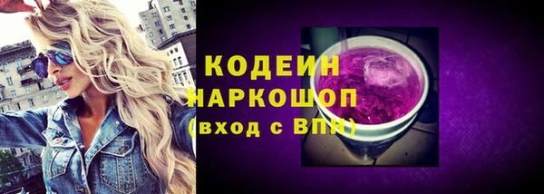 молекула духа Богданович
