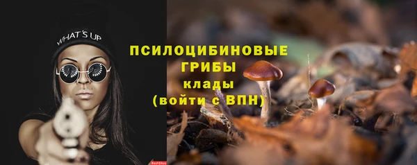 прущие грибы Ельня