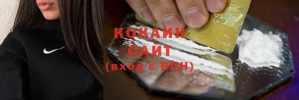 соль ск Елабуга
